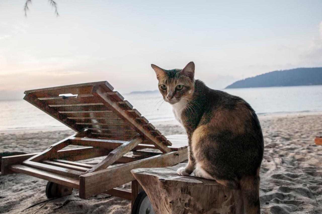 Kampong Ayer Batang Swiss Cottage Tioman מראה חיצוני תמונה