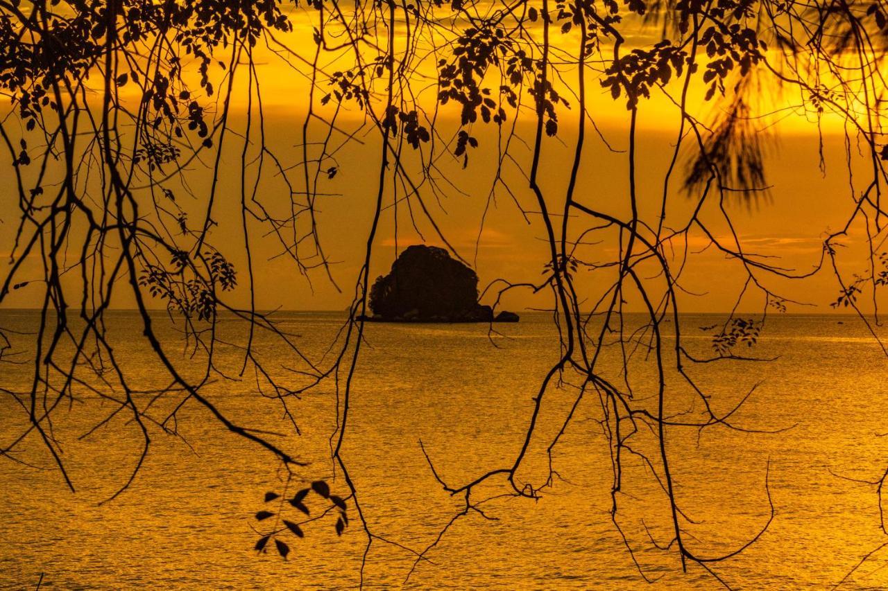 Kampong Ayer Batang Swiss Cottage Tioman מראה חיצוני תמונה